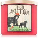 Svíčka Bath & Body Works Spiced Apple Toddy 411 g