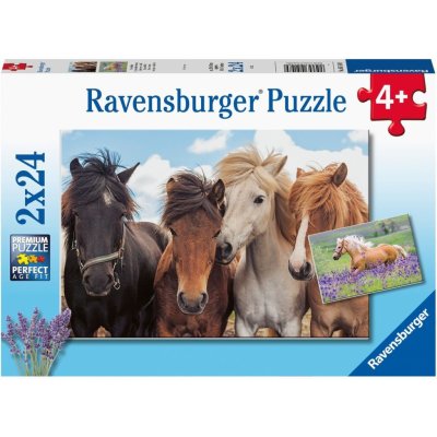 Ravensburger 051489 Fotky koní 2x24 dílků – Zboží Mobilmania