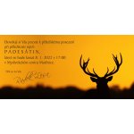 Pozvánka DL 050 – Zboží Dáma