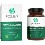 Green Idea Právenka latnatá (Andrographis) 60 kapslí – Hledejceny.cz