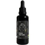Vitalvibe Chaga Tincture BIO 50 ml – Hledejceny.cz