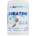 All Nutrition CREATINE Muscle Max 500 g – Sleviste.cz