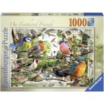 Ravensburger Naši opeření přátelé 1000 dílků – Hledejceny.cz