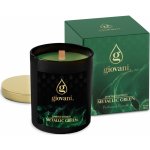 Giovani METALLIC GREEN 170 ml – Zboží Dáma