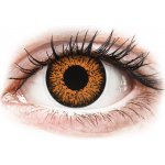 MaxVue ColorVue Glamour Honey tříměsíční nedioptrické 2 čočky – Hledejceny.cz