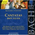 Bach - Ensemble - Helmuth Rilling - Bach - Cantatas Vol. 36 – Hledejceny.cz