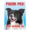 Autovýbava Grel Tabulka pozor pes kolie border