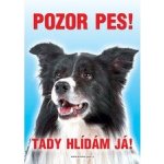 Grel Tabulka pozor pes kolie border – Sleviste.cz