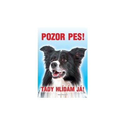 Grel Tabulka pozor pes kolie border – Zboží Mobilmania