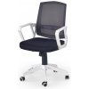 Kancelářská židle Rauman Ascot