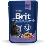 Brit Premium Cat Cod Fish 100 g – Zbozi.Blesk.cz