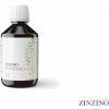 Doplněk stravy Zinzino BalanceOil+ Vegan 300 ml Citron