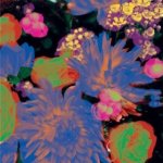 Darkstar - Timeaway LP – Hledejceny.cz
