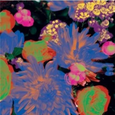 Darkstar - Timeaway LP – Hledejceny.cz