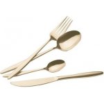 Berlingerhaus leštěná Champagne 24 ks – Zboží Dáma