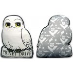 CurePink Polštář Harry Potter Hedwig 35x35x8 – Zboží Dáma