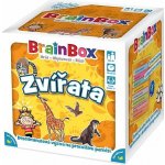BrainBox zvířata – Hledejceny.cz