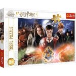 TREFL Tajemný Harry Potter 300 dílků – Zbozi.Blesk.cz