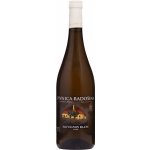 Pivnica Radošina Sauvignon Blanc 13% 0,75 l (holá láhev)
