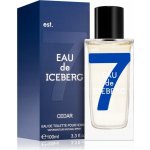 Iceberg Eau de Iceberg Cedar toaletní voda pánská 100 ml – Hledejceny.cz