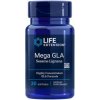 Doplněk stravy Life Extension Mega GLA Sesame Lignans 30 gelové tablety