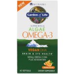 Minami Nutrition Omega 3 Vegan DHA z mořské řasy 60 kapslí – Hledejceny.cz
