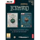 Icewind Dale Saga