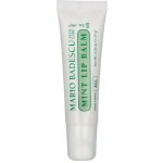 Mario Badescu Lip Balm intenzivní hydratační balzám na rty 10 g – Zboží Dáma