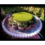 Euroline Umělý trávník Lizard Kruh 300 cm – Zboží Dáma