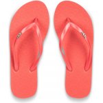 Roxy Viva IV – Sleviste.cz