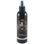 Dapper Dan Sea Salt Spray 200 ml – Zboží Dáma