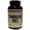 Namakanej Tribulus 90% 30 kapslí