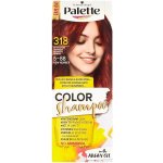 Pallete Color Shampoo Intenzivní červený 318 – Zboží Dáma