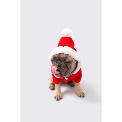 BONE Pet Store Vánoční obleček SANTA DOG – Zboží Mobilmania