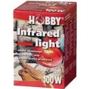 Hobby Infrared light 75 W