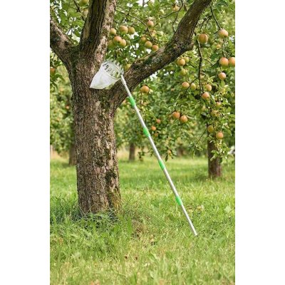 IQ Garden S teleskopickou rukojetí 4 m 319537 – Sleviste.cz