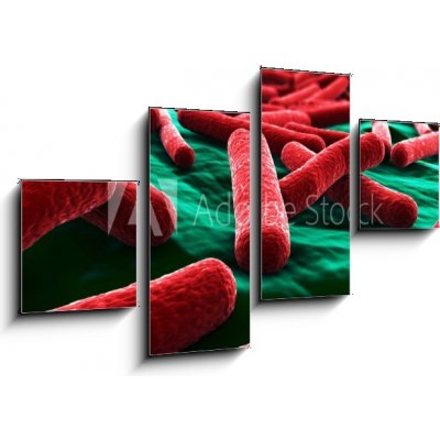 Obraz 4D čtyřdílný - 100 x 60 cm - E coli Bacteria close up Bakterie E coli zblízka