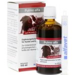 Pulmo ALFA pro psy a kočky při kašli,rýmě a nachlazení 100 ml – Hledejceny.cz