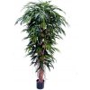 Květina Luxusní umělý strom DELUXE LONGIFOLIA LIANA, 180 cm