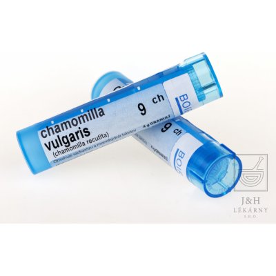 CHAMOMILLA VULGARIS POR 9CH GRA 1X4G – Zboží Mobilmania