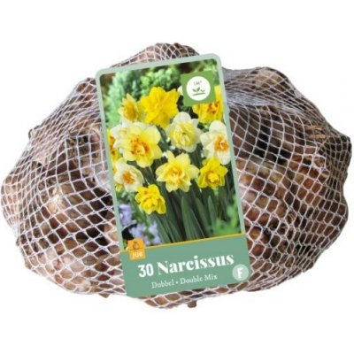 Narcis Double Mix XXL balení (30 cibulí) – Zboží Dáma