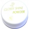 UV gel Lion Glossy Shine pudr GSP 389 10 g