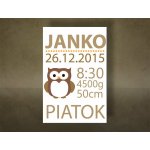 Papilora Obraz na stěnu Naše miminko s textem - 60x90 cm – Hledejceny.cz