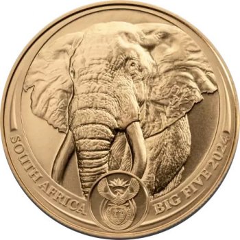 Rand Refinery Zlatá investiční mince Elephant Big 5 2024 1 oz 1 oz