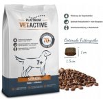 Platinum Adult Chicken 5 kg – Zboží Dáma