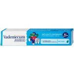 Vademecum Junior Spearmint pro děti od 6 let 75 ml – Hledejceny.cz