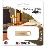 Kingston DataTraveler SE9 (Gen 3) 256GB DTSE9G3/256GB – Sleviste.cz