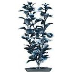 Hagen Red Ludwigia Black/White-tips 20 cm – Hledejceny.cz