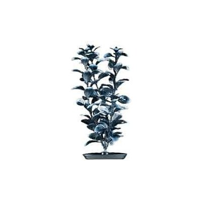 Hagen Red Ludwigia Black/White-tips 20 cm – Hledejceny.cz