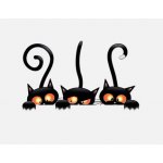 Samolepka (na auto, notebook) kočky (2) – Zboží Živě